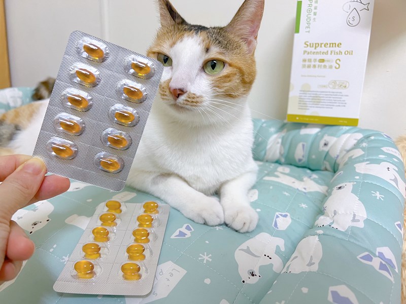試用